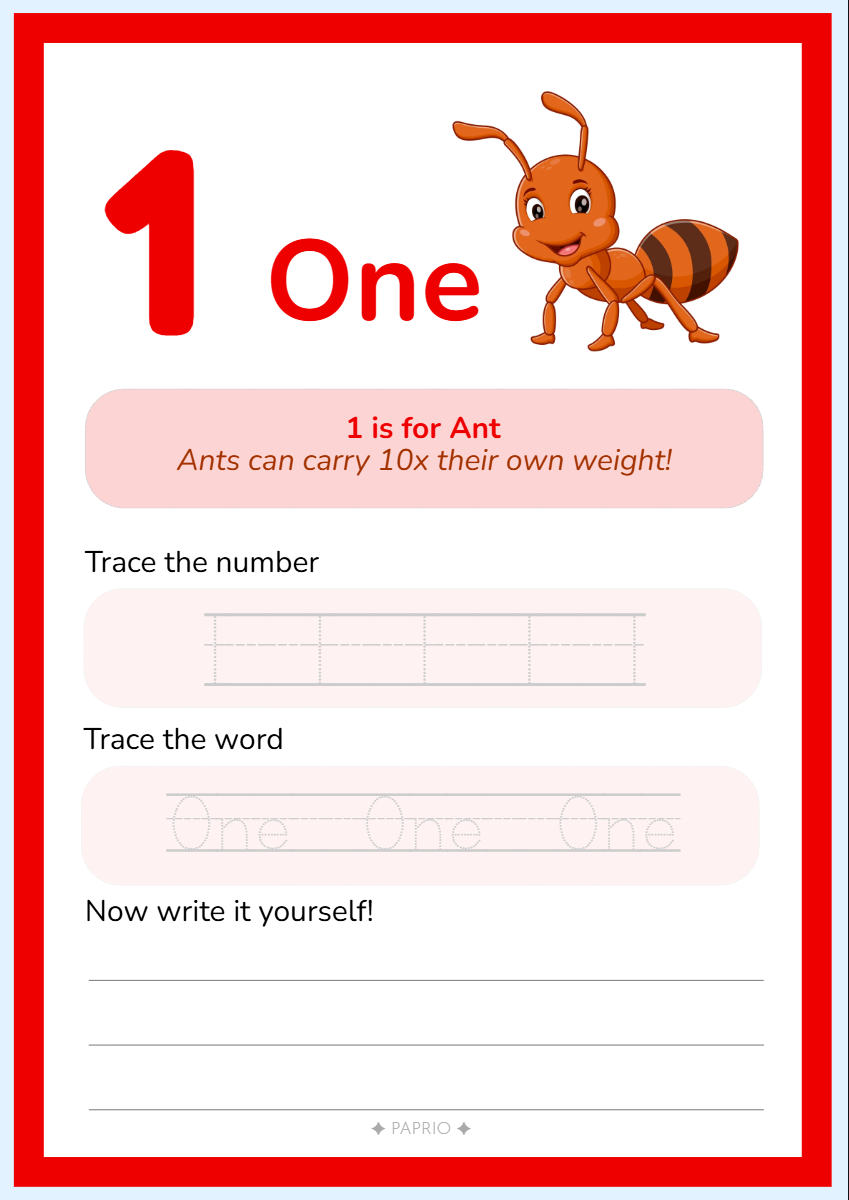 Animals 123 Numbers Tracing & Activity Workbook (A4 Wiro-Bound)
