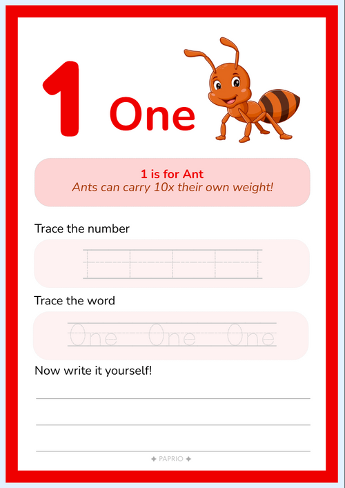 Animals 123 Numbers Tracing & Activity Workbook (A4 Wiro-Bound)